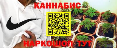 мяу мяу мука Тулун
