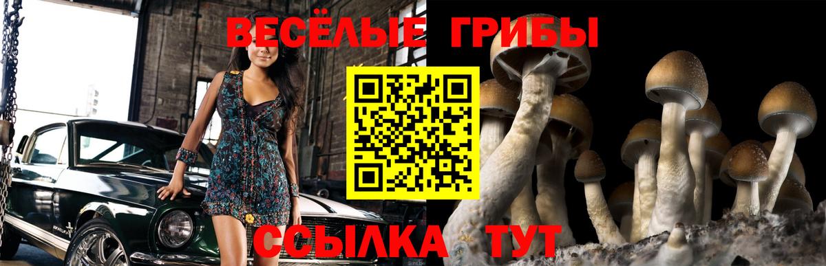 Псилоцибиновые грибы GOLDEN TEACHER  Вход с VPN  Шебекино  Псилоцибиновые грибы мухоморы 
